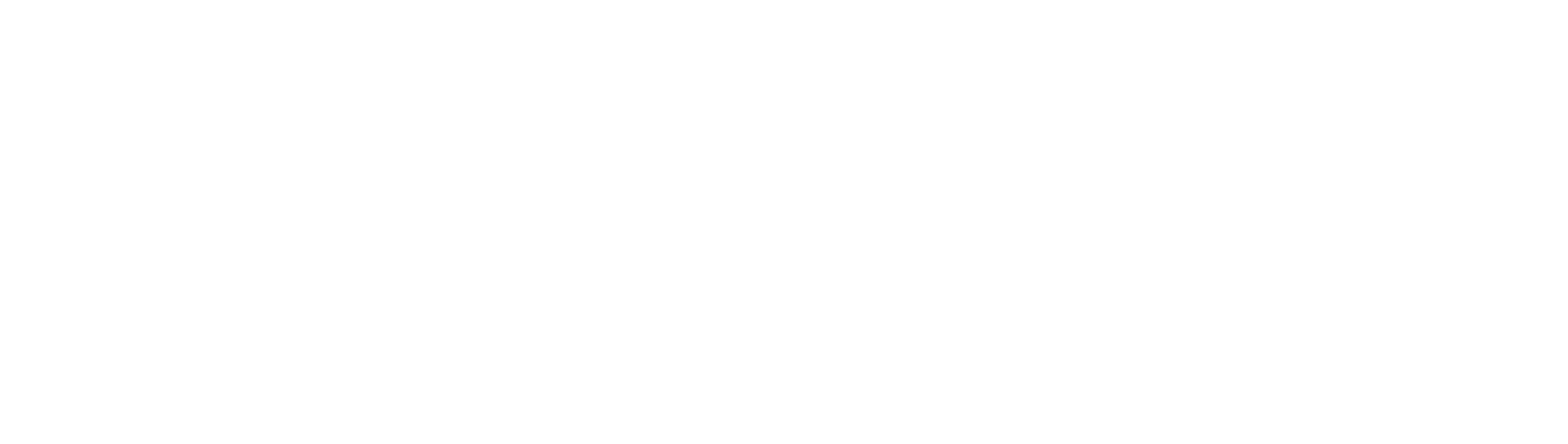 Bravizo Agencia